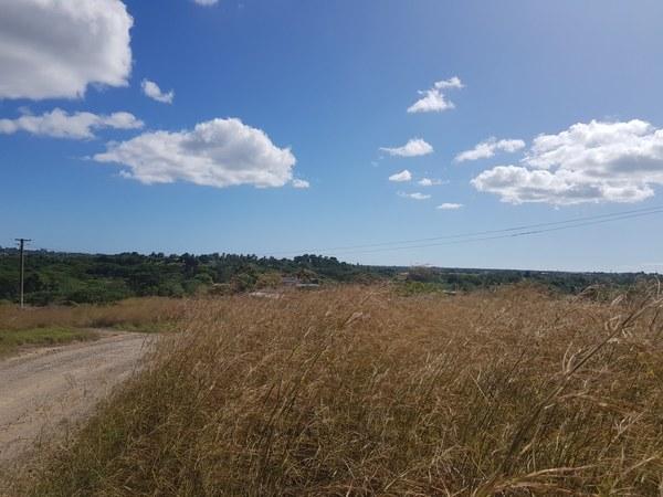 NIL14 Togo, Nadi, Vacant Land / Lot,  for sale, PROPERTY EXPERTS 