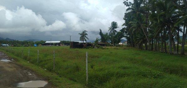 LAF01 Macuata , Labasa, Farm,  for sale, PROPERTY EXPERTS 