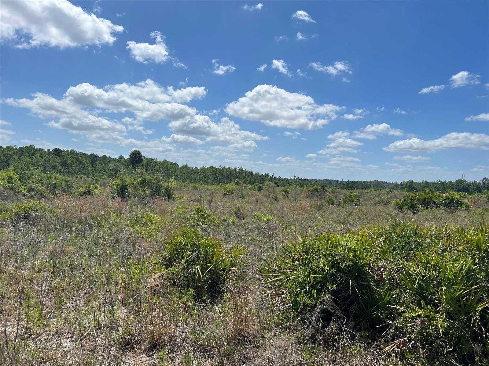 HWY 40, DUNNELLON, Land,  for sale, PROPERTY EXPERTS 