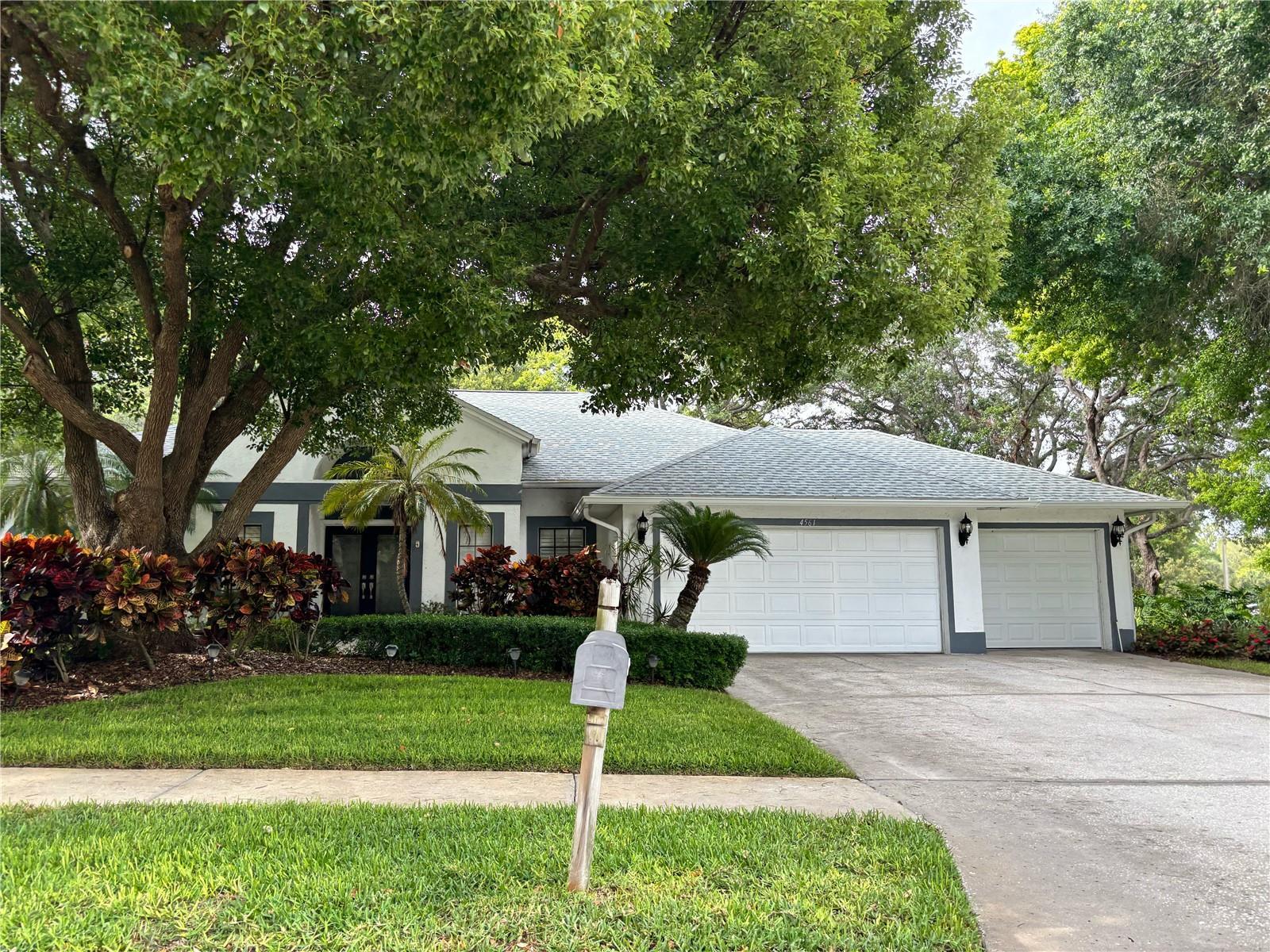 4561 GLENBROOK, PALM HARBOR, Single Family Residence,  for sale, PROPERTY EXPERTS 